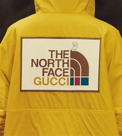 north face and gucci collaboration|the north face Gucci tracksuit.